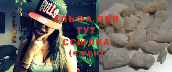 гидра Коряжма