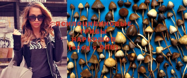 гидра Коряжма