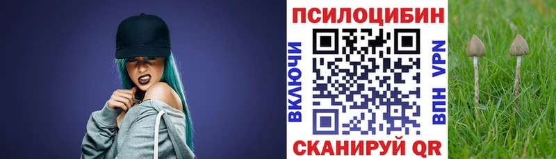 Псилоцибиновые грибы мицелий  Купить где  Красновишерск 